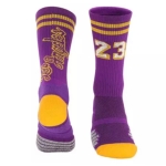 Баскетбольные носки Lebron №23 Purple Yellow